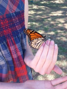 Skybridge students frequently make friends with the local wildlife. 