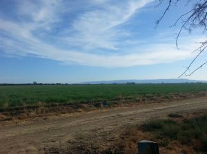 11707768_10103562085843271_7982492354156773983_o